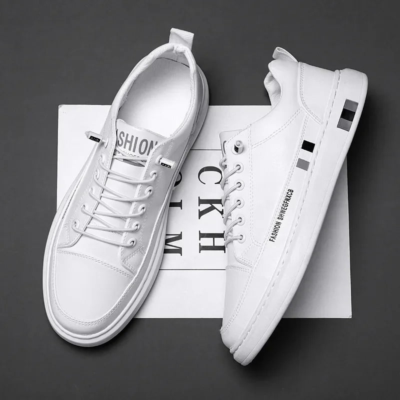 gid://shopify/MediaImage/24691966902366